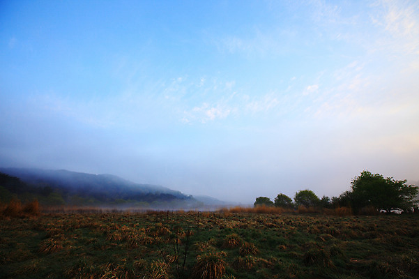 포토 JPG 주간 나무 식물 자연 산 한국 갈대 풍경 초원 사람없음 야외 안개 풀 습지 경상남도 우포늪 창녕 국내포토 자연요소 아시아 날씨 경상도 생태계 파일형식