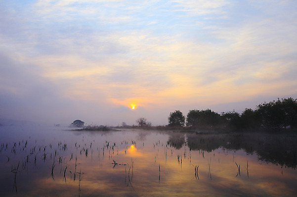 포토 JPG 주간 나무 식물 구름 자연 하늘 한국 풍경 사람없음 야외 강 태양 일출 노을 일몰 풀 습지 강가 경상남도 우포늪 창녕 국내포토 자연요소 아시아 경상도 생태계 파일형식