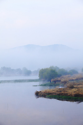 포토 JPG 주간 나무 식물 호수 자연 산 한국 사람 풍경 야외 두명 강 안개 습지 강가 경상남도 우포늪 창녕 국내포토 자연요소 아시아 날씨 경상도 생태계 파일형식
