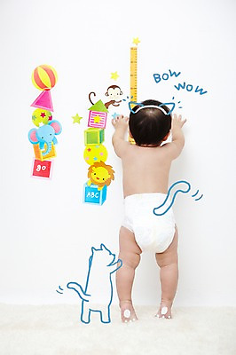 전신 PSD 동물 편집이미지 남자 공 포유류 포토일러 코끼리 줄자 자 합성일러스트 한명 서기 사람 동양인 뒷모습 한국인 원숭이 아기 강아지 사자 키재기 반려 남자만 남자한명만 아기만 남자아기만 남자아기한명만 이미지편집 1 뷰포인트 모션 문구용품 인종 반려동물 개 측정 키_신체 파일형식