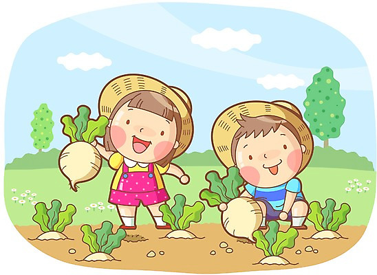 전신 나무 식물 구름 여자 어린이교육 교육 남자 어린이 밭 채소 일러스트 하늘 미소 웃음 사람 소녀 소년 두명 농장 농촌 시골 체험학습 체험 무 농장체험 무밭 어린이만 국내일러스트 AI파일 자연요소 컨셉 농업 뿌리채소 표정 파일형식 벡터