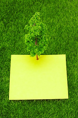 포토 JPG 스튜디오촬영 나무 식물 종이 실내 잔디 초원 사람없음 모형 사무용품 미니어처 피규어 메모지 풀 포스트잇 국내포토 문구용품 내부 파일형식