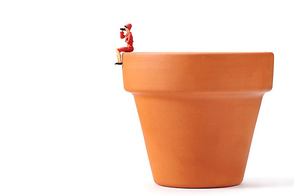 포토 JPG 스튜디오촬영 화분 인형 실내 누끼 사람없음 모형 쌍안경 망원경 미니어처 피규어 관찰 항아리 원예 관측 국내포토 모션 취미 내부 도자기 파일형식