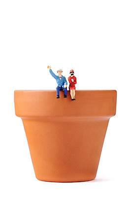 포토 JPG 스튜디오촬영 화분 인형 실내 누끼 사람없음 모형 미니어처 피규어 항아리 원예 국내포토 취미 내부 도자기 파일형식