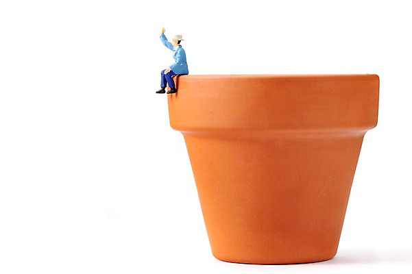 포토 JPG 스튜디오촬영 화분 인형 실내 누끼 사람없음 모형 미니어처 피규어 항아리 원예 국내포토 취미 내부 도자기 파일형식