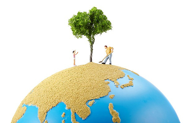 포토 JPG 스튜디오촬영 나무 식물 지구 인형 실내 누끼 사람없음 지구본 모형 미니어처 피규어 삽 원예 나무심기 원예용품 국내포토 생활용품 취미 내부 심기 파일형식