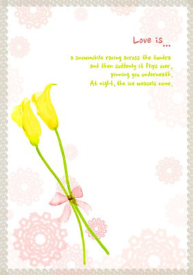 PSD 식물 문양 배너 꽃 화초 액자 백그라운드 무늬 꽃백그라운드 일러스트 자연 프레임 틀 사람없음 노란색 공백 편지 편지지 국내일러스트 컬러 생태계 파일형식