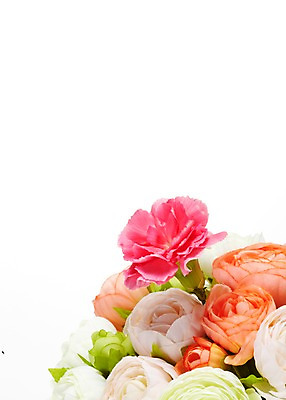 포토 JPG 식물 꽃 줄기 꽃다발 여러송이 잎 꽃백그라운드 누끼 사람없음 컬러풀 카네이션 라넌큘러스 국내포토 컬러 다수 백그라운드 파일형식