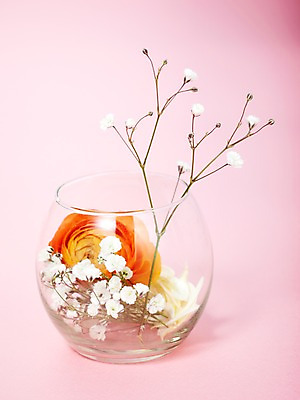 포토 JPG 식물 꽃 줄기 컬러 여러송이 백그라운드 꽃백그라운드 유리 잔 사람없음 꽃병 주황색 흰색 안개꽃 라넌큘러스 국내포토 식기 다수 재질 한해살이풀 파일형식