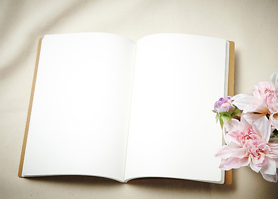 포토 JPG 스튜디오촬영 식물 배너 꽃 종이 꽃백그라운드 사각프레임 프레임 광고판 알림판 실내 틀 사람없음 책 공책 펼침 흰색 알림 오브젝트 조화 국내포토 컬러 백그라운드 모션 문구용품 내부 사각형 판 파일형식