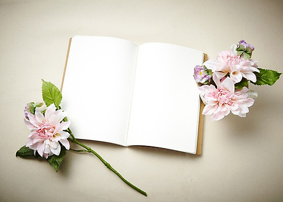 포토 JPG 스튜디오촬영 식물 배너 꽃 종이 꽃백그라운드 사각프레임 프레임 광고판 알림판 실내 틀 사람없음 책 공책 펼침 흰색 알림 오브젝트 조화 국내포토 컬러 백그라운드 모션 문구용품 내부 사각형 판 파일형식