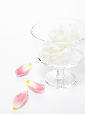 포토 JPG 식물 꽃잎 꽃 분홍색 컬러 백그라운드 꽃백그라운드 유리 잔 국화 사람없음 꽃병 튤립 흰색 대국 국내포토 식기 재질 파일형식