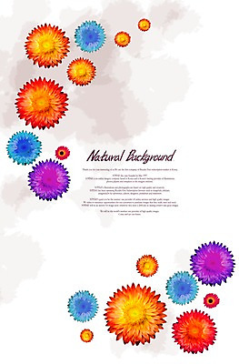 PSD 식물 편집이미지 계절 꽃 여러송이 백그라운드 꽃백그라운드 자연 국화 사람없음 컬러풀 봄 식물백그라운드 번짐 이미지편집 컬러 다수 생태계 파일형식 효과