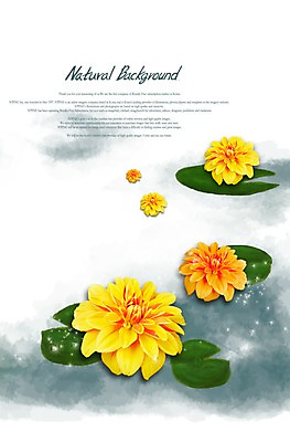 PSD 식물 편집이미지 계절 꽃 컬러 여러송이 백그라운드 잎 자연 사람없음 노란색 봄 달리아 식물백그라운드 이미지편집 다수 생태계 파일형식