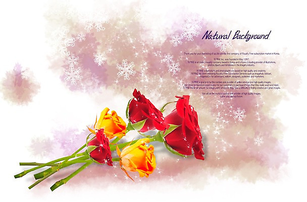 PSD 식물 편집이미지 꽃 줄기 여러송이 백그라운드 잎 꽃백그라운드 자연 사람없음 빨간색 장미 식물백그라운드 이미지편집 컬러 다수 생태계 파일형식