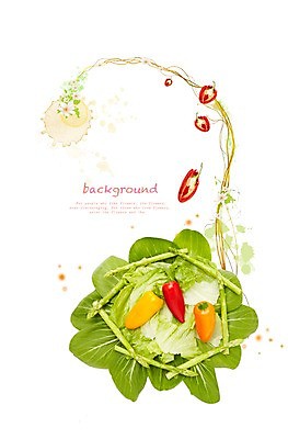 PSD 식물 편집이미지 꽃 줄기 컬러 백그라운드 잎 채소 나뭇잎 사람없음 빨간색 초록색 노란색 주황색 샐러드 풀 양상추 아스파라거스 컬러푸드 청경채 미니파프리카 이미지편집 음식 파일형식