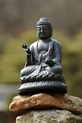 포토 JPG 주간 종교 불교 종교용품 근접촬영 사람없음 야외 아웃포커스 탑 부처님오신날 돌_바위 석탑 불상 불교용품 부처 칠장사 국내포토 자연요소 건축물 기념일 뷰포인트 촬영기법 사찰 안성 파일형식