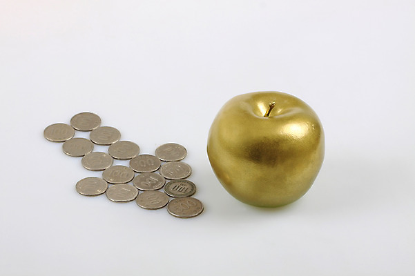 포토 JPG 스튜디오촬영 컬러 컨셉 돈 비즈니스 실내 사람없음 금융 경제 동전 금색 원화 황금 사과 백원 오백원 오브젝트 국내포토 과일 내부 재산 파일형식