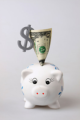 포토 JPG 스튜디오촬영 문자 기호 컨셉 지폐 돈 비즈니스 실내 사람없음 금융 경제 달러 저축 돼지저금통 저금통 절약 화폐기호 오브젝트 외화 1달러 국내포토 내부 재산 화폐 파일형식