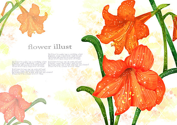 PSD 식물 꽃 컬러 여러송이 백그라운드 잎 꽃백그라운드 일러스트 자연 사람없음 주황색 풀 우아함 아마릴리스 국내일러스트 다수 컨셉 생태계 파일형식