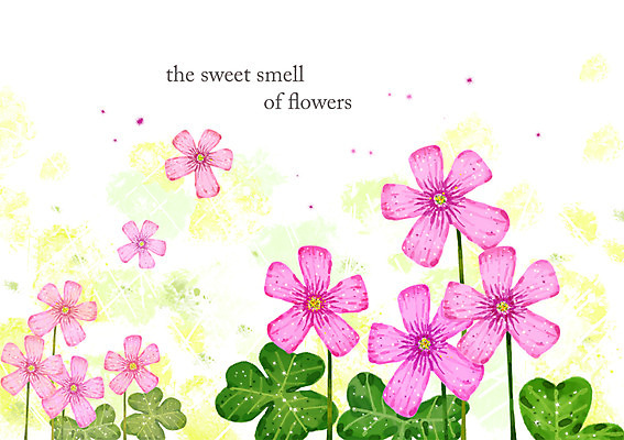 PSD 식물 꽃 컬러 여러송이 백그라운드 잎 꽃백그라운드 일러스트 자연 사람없음 풀 우아함 자주색 자주괭이밥 국내일러스트 다수 컨셉 생태계 파일형식