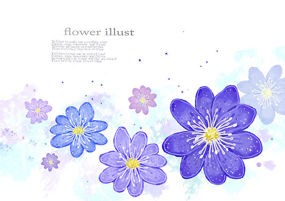PSD 식물 꽃 컬러 여러송이 백그라운드 꽃백그라운드 일러스트 자연 사람없음 보라색 우아함 노루귀 국내일러스트 다수 컨셉 생태계 파일형식