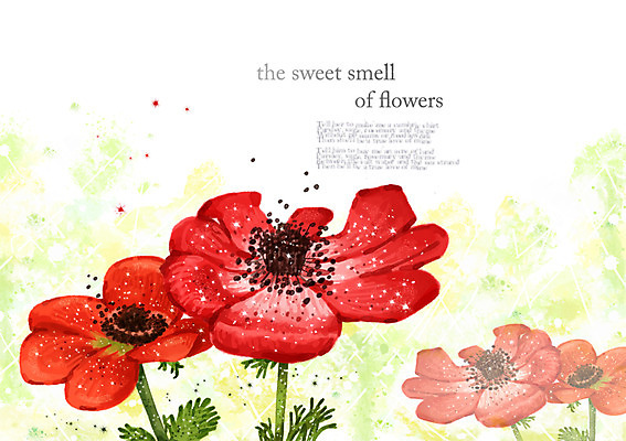 PSD 식물 꽃 컬러 여러송이 백그라운드 잎 꽃백그라운드 일러스트 자연 사람없음 빨간색 풀 우아함 아네모네 국내일러스트 다수 컨셉 생태계 파일형식