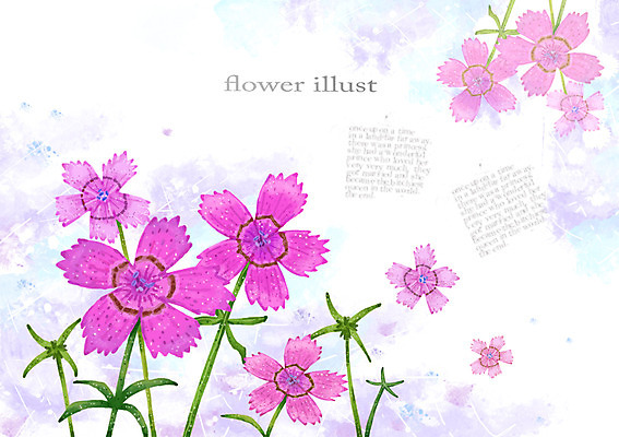 PSD 식물 꽃 컬러 여러송이 백그라운드 잎 꽃백그라운드 일러스트 자연 사람없음 보라색 풀 우아함 패랭이꽃 패랭이 국내일러스트 다수 컨셉 생태계 파일형식