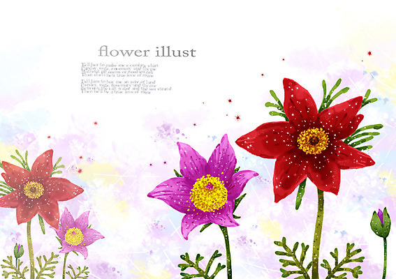 PSD 식물 꽃 컬러 여러송이 백그라운드 잎 꽃백그라운드 일러스트 자연 사람없음 빨간색 풀 우아함 자주색 할미꽃 국내일러스트 다수 컨셉 생태계 파일형식