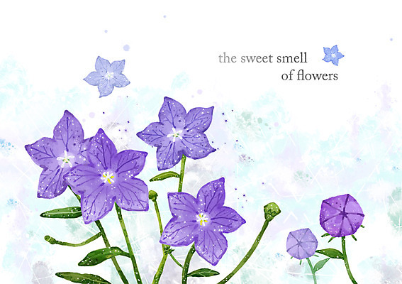 PSD 식물 꽃 컬러 여러송이 백그라운드 잎 꽃백그라운드 일러스트 자연 사람없음 보라색 풀 우아함 도라지꽃 도라지 국내일러스트 다수 컨셉 생태계 파일형식