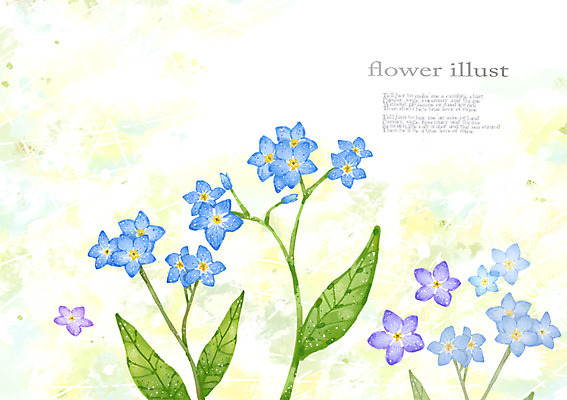 PSD 식물 컬러 여러송이 백그라운드 잎 꽃백그라운드 일러스트 자연 사람없음 파란색 보라색 풀 우아함 물망초 국내일러스트 꽃 다수 컨셉 생태계 파일형식