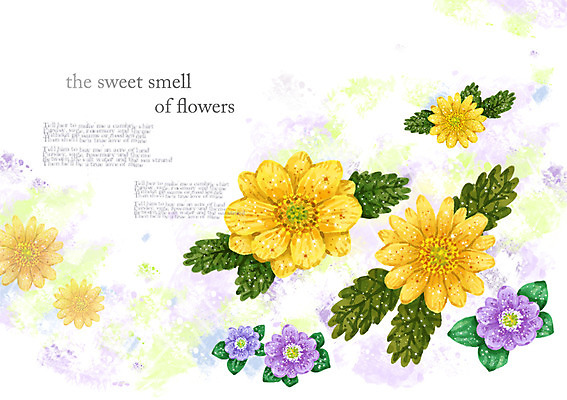 PSD 식물 꽃 컬러 여러송이 백그라운드 잎 꽃백그라운드 일러스트 자연 사람없음 노란색 보라색 풀 우아함 복수초 복수초꽃 국내일러스트 다수 컨셉 생태계 파일형식