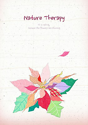 PSD 식물 꽃잎 꽃 컬러 백그라운드 한송이 꽃백그라운드 일러스트 자연 사람없음 컬러풀 화려 우아함 신비 포인세티아 국내일러스트 1 컨셉 생태계 송이 파일형식