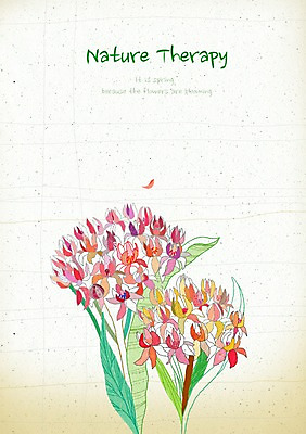 PSD 식물 꽃잎 꽃 컬러 여러송이 백그라운드 잎 꽃백그라운드 일러스트 자연 사람없음 컬러풀 화려 우아함 신비 기린초 국내일러스트 다수 컨셉 생태계 파일형식