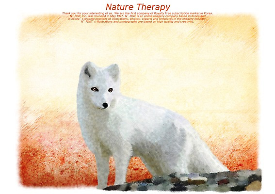 PSD 동물 척추동물 한마리 육지동물 백그라운드 일러스트 포유류 자연 사람없음 돌_바위 바위 자연백그라운드 여우 백여우 국내일러스트 1 생태계 파일형식