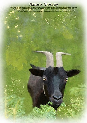 PSD 식물 동물 척추동물 한마리 육지동물 백그라운드 일러스트 포유류 자연 염소 뿔 잔디 사람없음 풀 자연백그라운드 흑염소 국내일러스트 1 생태계 파일형식