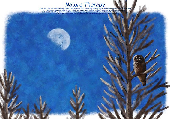 PSD 나무 동물 한마리 백그라운드 일러스트 자연 조류 사람없음 달 나뭇가지 자연백그라운드 부엉이 반달 국내일러스트 자연요소 식물 1 생태계 파일형식