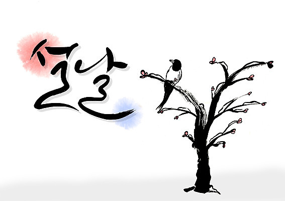 PSD 나무 식물 동물 문자 한국문화 한국전통 전통 손글씨 명절 전통문화 백그라운드 일러스트 캘리그라피 조류 새해 타이포그라피 글자캘리그라피 한글 사람없음 단어 설날 까치 국내일러스트 동양문화 기념일 문화 한국 파일형식