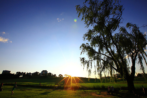 포토 JPG 주간 나무 식물 구름 건축물 공원 벤치 의자 자연 하늘 휴식 서울 한국 풍경 잔디 초원 여러명 야외 건물 빛 햇빛 태양 버드나무 언덕 올림픽공원 국내포토 자연요소 공공시설 건축 아시아 가구 다수 컨셉 사람 생태계 파일형식