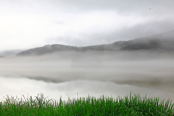 포토 JPG 주간 식물 호수 자연현상 자연 산 한국 물그림자 그림자 풍경 사람없음 야외 강 반사 침묵 고요 안개 풀 경기도 양수리 양평 국내포토 자연요소 아시아 날씨 소리 생태계 파일형식