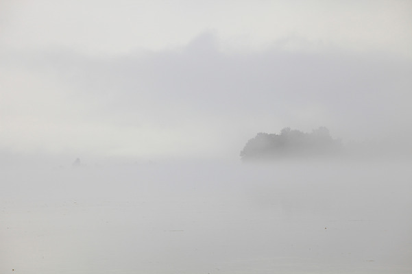 포토 JPG 주간 호수 자연현상 자연 한국 풍경 사람없음 야외 강 침묵 고요 안개 경기도 양수리 양평 국내포토 자연요소 아시아 날씨 소리 생태계 파일형식