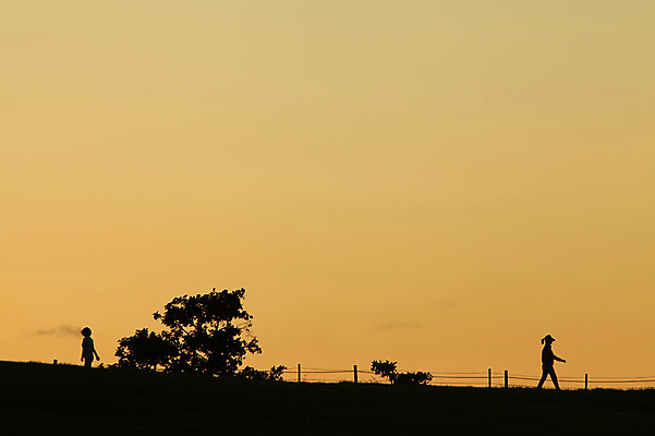 포토 JPG 나무 식물 구름 공원 실루엣 자연현상 자연 하늘 서울 한국 사람 풍경 야외 두명 울타리 조깅 운동 걷기 노을 일몰 야간 저녁 올림픽공원 국내포토 자연요소 공공시설 아시아 모션 촬영기법 건강 담장 생태계 파일형식
