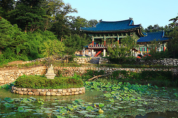 포토 JPG 나무 식물 한국전통 건축물 건축 종교 문화 호수 고건축 불교 한국건축 종교건축 종교시설 풍경 사람없음 야외 건물 정원 동양건축 연못 사찰 불상 강원도 낙산사 양양군 국내포토 전통 한국 시설 양양 파일형식 동양