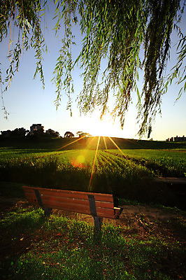 포토 JPG 주간 나무 식물 건축물 공원 벤치 의자 자연 하늘 서울 한국 풍경 잔디 초원 사람없음 야외 건물 빛 햇빛 태양 나뭇가지 버드나무 언덕 올림픽공원 국내포토 자연요소 공공시설 건축 아시아 가구 생태계 파일형식