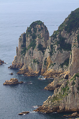 포토 JPG 주간 나무 식물 바다 섬 자연 한국 풍경 해변 사람없음 야외 절벽 돌_바위 바위 경상도 경상남도 바위섬 통영 소매물도 국내포토 자연요소 아시아 생태계 파일형식