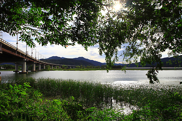 포토 JPG 주간 나무 식물 구름 건축물 자연 하늘 산 한국 풍경 사람없음 야외 강 고요 나뭇가지 물가 풀 잡초 강가 경기도 양수리 가교 국내포토 자연요소 건축 아시아 생태계 양평 파일형식