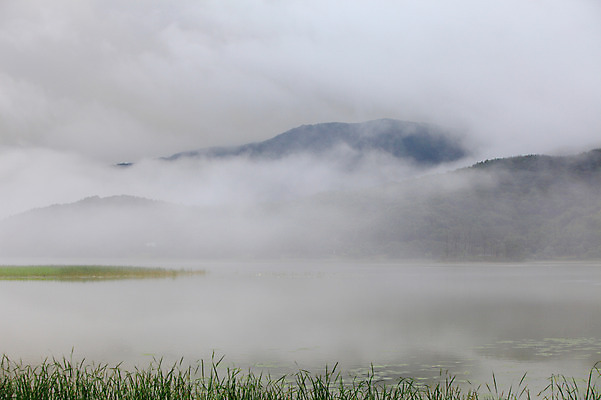 포토 JPG 주간 식물 호수 자연현상 자연 산 한국 물그림자 그림자 풍경 사람없음 야외 강 반사 침묵 고요 안개 풀 경기도 양수리 양평 국내포토 자연요소 아시아 날씨 소리 생태계 파일형식