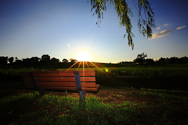 포토 JPG 주간 나무 식물 구름 건축물 공원 벤치 의자 자연 하늘 서울 한국 풍경 잔디 초원 사람없음 야외 건물 빛 햇빛 태양 나뭇가지 버드나무 언덕 올림픽공원 국내포토 자연요소 공공시설 건축 아시아 가구 생태계 파일형식