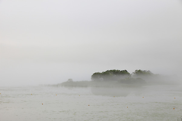 포토 JPG 주간 나무 식물 호수 자연현상 자연 한국 풍경 사람없음 야외 강 침묵 고요 안개 경기도 양수리 양평 국내포토 자연요소 아시아 날씨 소리 생태계 파일형식