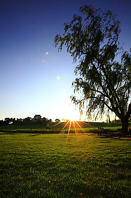 포토 JPG 주간 나무 식물 건축물 공원 벤치 의자 자연 하늘 휴식 서울 한국 풍경 잔디 초원 야외 건물 빛 햇빛 태양 버드나무 언덕 올림픽공원 국내포토 자연요소 공공시설 건축 아시아 가구 컨셉 생태계 파일형식
